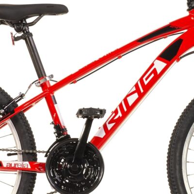Alternative view of Bicicletta 24  Mtb Uomo Rosso