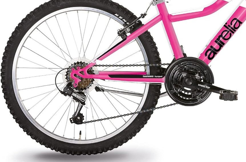 Bicicletta 24 Mtb Donna Rosa - immagine 2