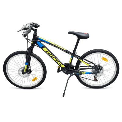 Bicicletta 24 Uomo Nero