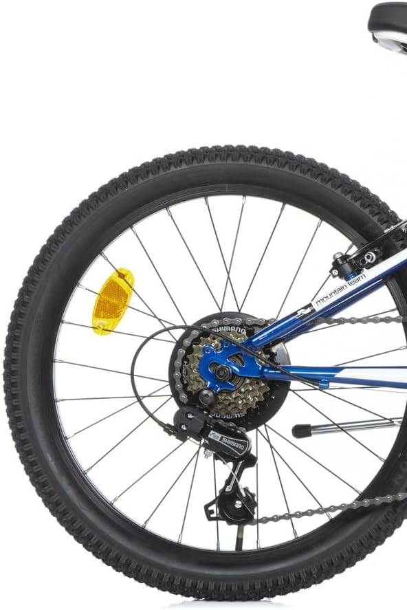 Bicicletta 20 MTB Boy Blu - immagine 3