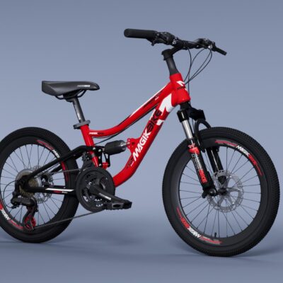 Bici 20 Mtb Full Bambino