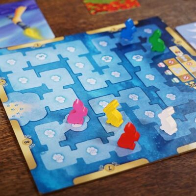 Alternative view of Dixit 8016 83481