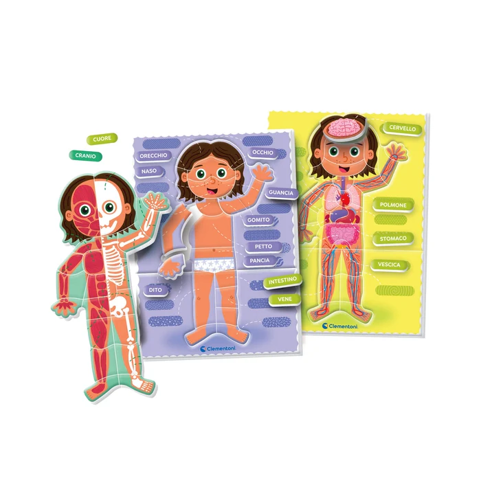 Montessori - Il Corpo Umano Educ games - immagine 2