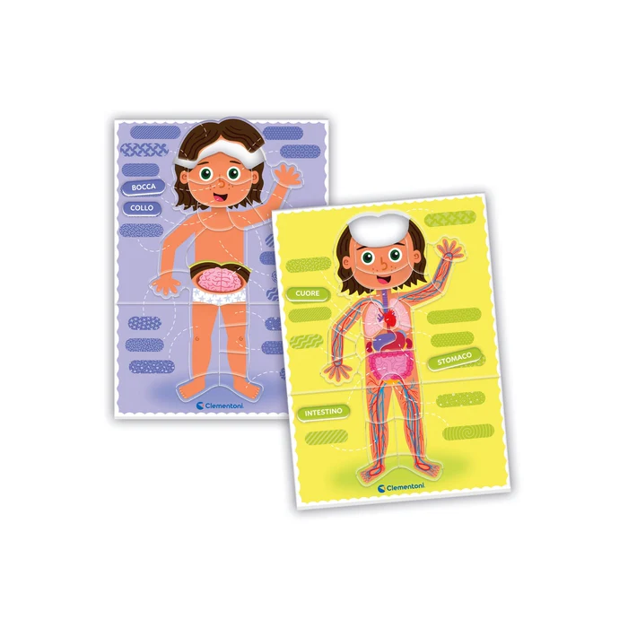Montessori - Il Corpo Umano Educ games - immagine 4